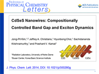 CdSeS Nanowires. Compositionally Controlled Band Gap and Exciton Dynamics